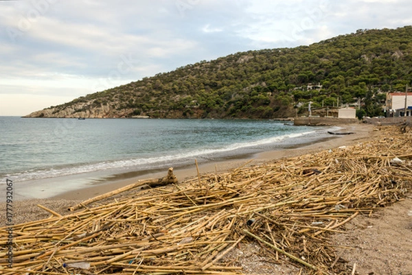 Fototapeta A sandy beach on an island in Greece is filled with a variety of debris brought by the waves of the sea. The concept of marine pollution, pollution of ocean water by plastic, garbage and human waste.