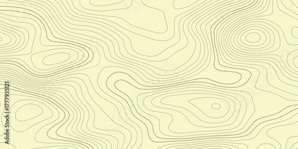 Obraz Abstract white topography vector background, Topographic map lines background. Abstract vector illustration.