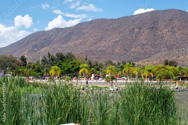 Fototapeta Palm-lined malecon in Jocotepec seen through lake reeds with mountain background on a sunny day