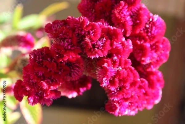 Obraz photography of the essence of spring with flowers and leaves