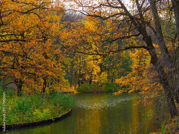 Fototapeta A picturesque view of a pond and trees in autumn in a city park