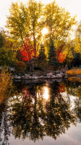Fototapeta A pond in a city park at sunset in autumn. Sunbeams through the foliage.