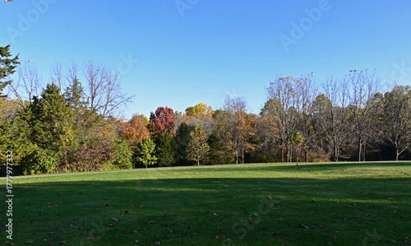 Obraz autumn landscape with trees