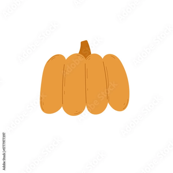 Fototapeta Hand drawn vector yellow pumpkin on a transparent background