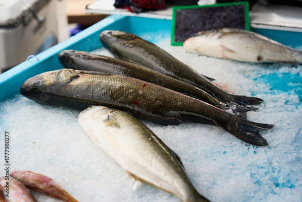 Obraz Fresh fish at the market on ice.
