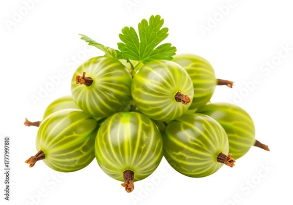 Fototapeta Pile of fresh green gooseberries isolated on transparent background, closeup view