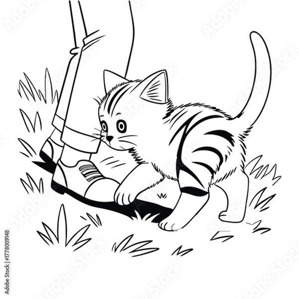 Obraz A wobbly kitten takes its first tiny steps stumbl12.eps