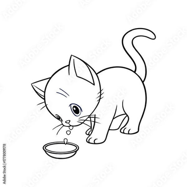 Obraz A kitten drinks from a tiny dish leaving a little5.eps
