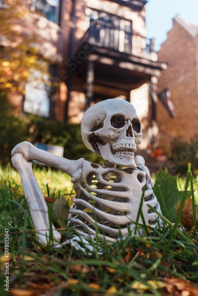 Fototapeta A playful plastic skeleton sits in green grass with a brick house and steps in the background, creating a spooky yet whimsical Halloween or décor stock image.