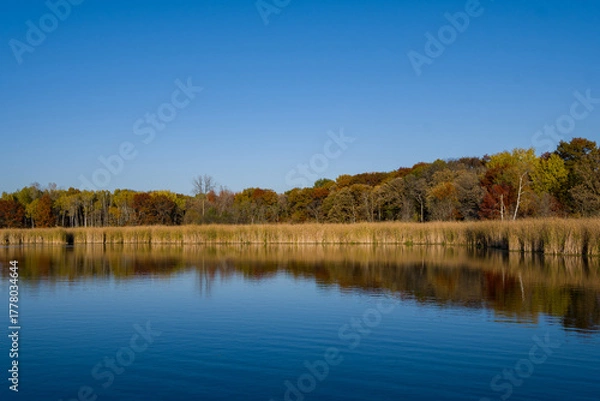 Obraz fall colors reflected in a pond
