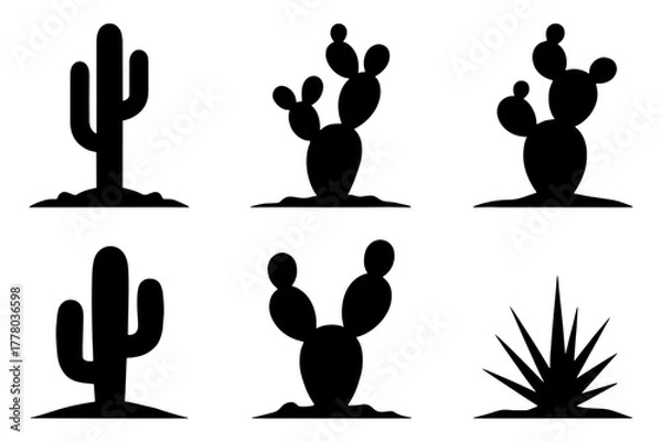 Obraz silhouette of  different cactus plant species