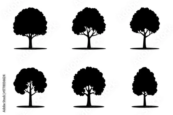 Fototapeta silhouette of nature plant trees in black