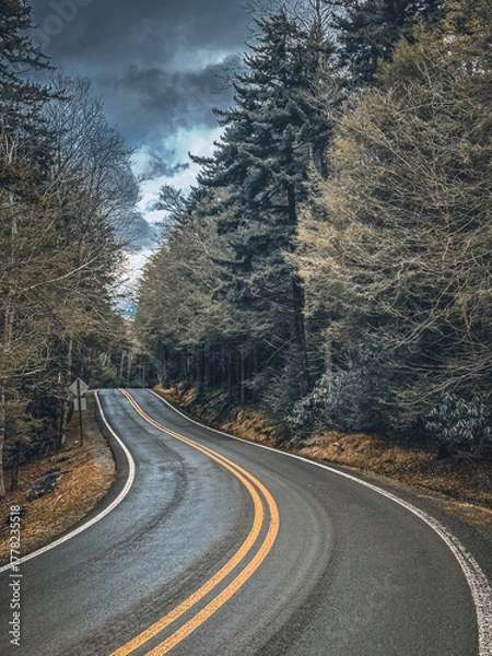 Obraz road in the mountains