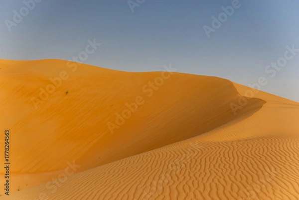 Fototapeta golden-orange sand dunes with intricate wind-blown ripples meeting a smooth, massive slope