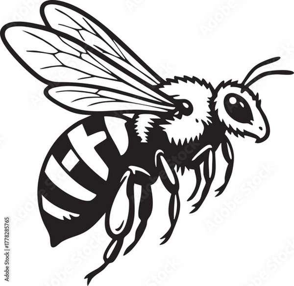 Obraz Simple bee line art in flight, clean design element for honey or garden.