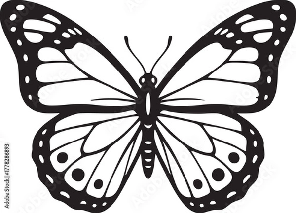 Obraz Monarch butterfly viewed from above, black and white