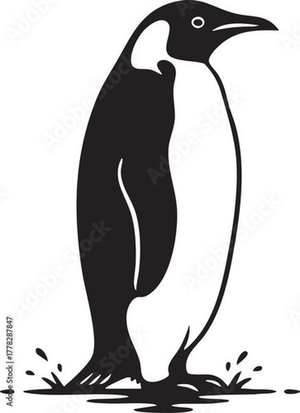 Obraz Monochrome Antarctic bird logo, isolated on a white background with a small splash