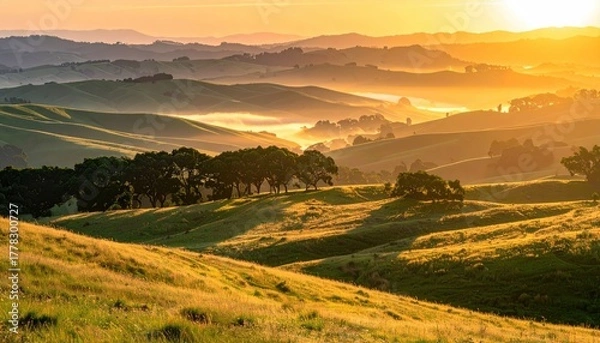 Obraz Golden Sunrise Over Rolling Hills With Trees And Morning Mist Creating A Serene Landscape