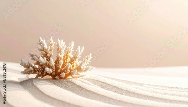 Obraz Natural Coral Specimen Resting on Rippled Sand Dunes Under Soft Sunlight Beach Shoreline Macro View