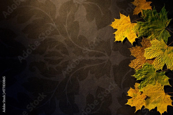 Obraz Autumn leaves on dark background