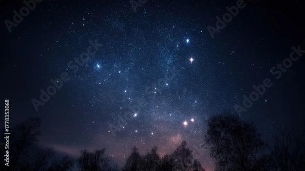 Fototapeta Starry Night Sky with Constellations and Trees Silhouetted Against a Deep Blue Backdrop