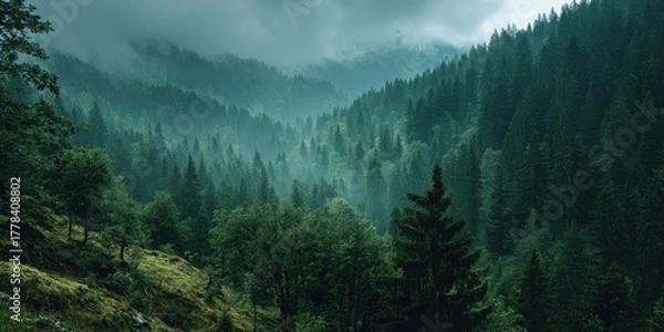 Fototapeta Enchanted Tale of a Hidden World Under Moonlight