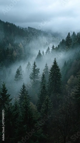 Fototapeta Midnight Forest with Glowing Colours and Fantasy Mood