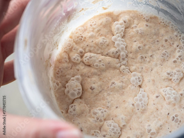 Obraz bubbles on sourdough bread starter