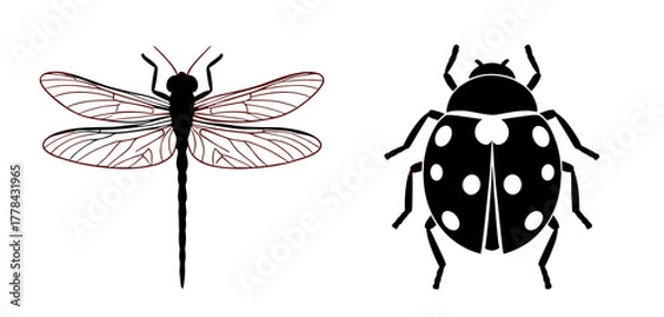 Fototapeta Dragonfly and Ladybug Duo: A Whimsical Insect Collection Ready to Enhance Your Designs, Perfect for Nature-Themed Projects or Educational Materials