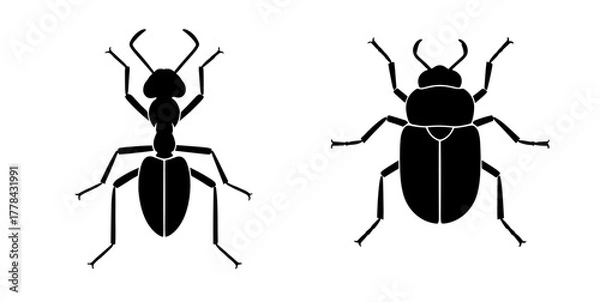 Fototapeta Detailed ant and beetle silhouettes, perfect for biology education, nature guides, or eco-friendly designs showing insect diversity originally a vector graphic