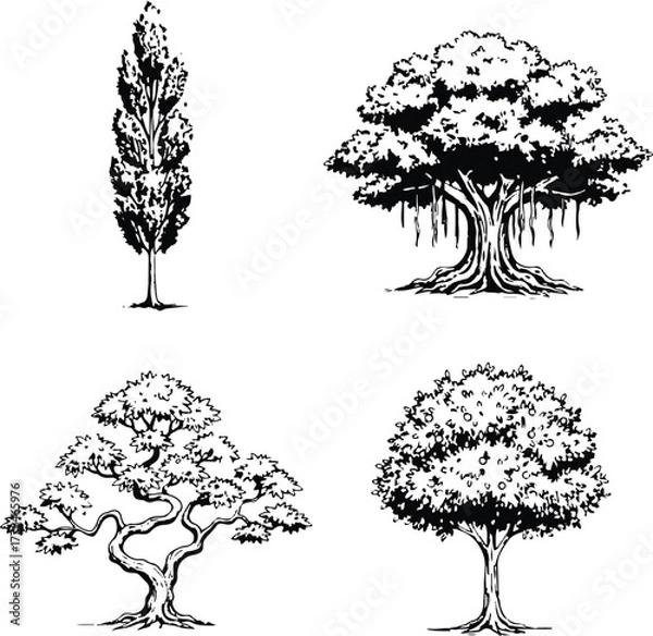 Fototapeta A comprehensive set of tree silhouettes, vector illustrations, and nature designs for decoration and art projects, featuring pine, oak, palm, and birch plants with leaf and branch details