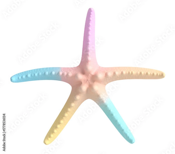 Obraz Pastel colored starfish illustration