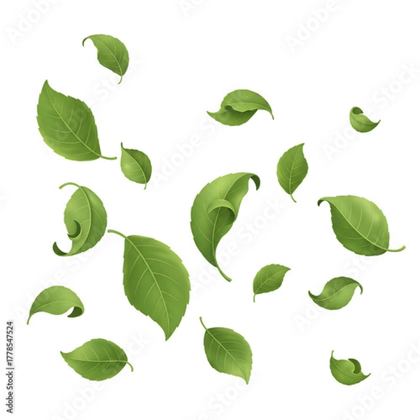 Obraz Scattered green leaves on a black background