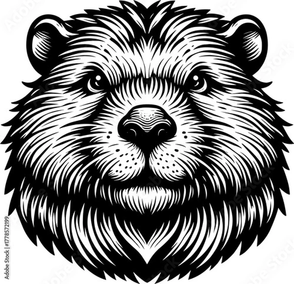 Obraz North American Beaver Head Vector – Vintage Engraving Wildlife Illustration