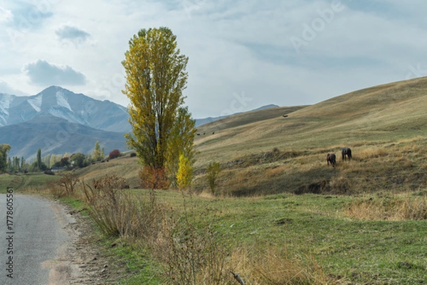 Fototapeta The road winds through a rural landscape with trees, hills, and distant mountains. Horses grazing on the side of the road.