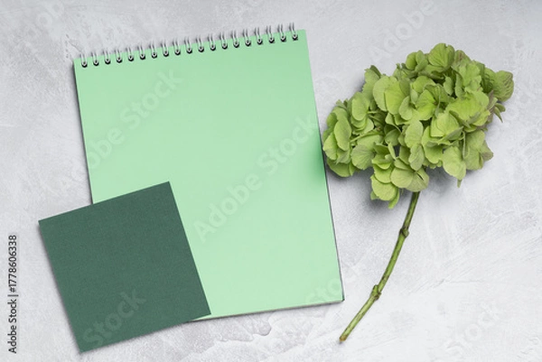 Fototapeta Greeting card, presentation, message with a green hydrangea branch and a spiral notebook. This aesthetically pleasing minimalist composition symbolizes harmony and nature.
