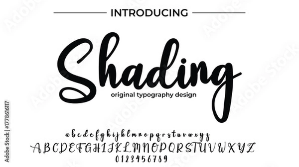 Fototapeta Shading - Elegant Script Font for Smooth Handwritten Design and Creative Typography