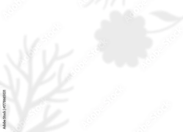 Fototapeta Soft Floral Branch Shadow Overlay