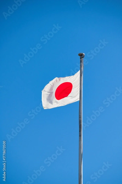 Obraz 青空にはためく日章旗