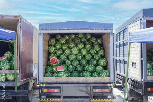 Obraz Truck is filled with watermelons. The truck is parked in a lot. The watermelons are piled high in the truck
