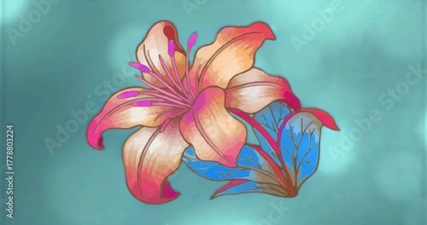 Fototapeta Displaying flower blossoming with magenta stamens and petals on teal backdrop with blue leaves