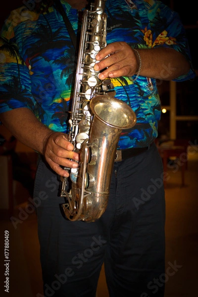 Obraz saxophoniste