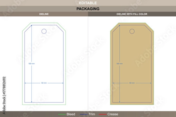 Obraz Custom dimensions hangtags cards double bevel dieline drawn through vector precision refining printing finish packaging fold die line edge maintains stylish double cut design