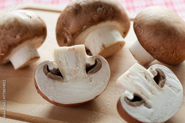 Obraz ブラウンマッシュルーム