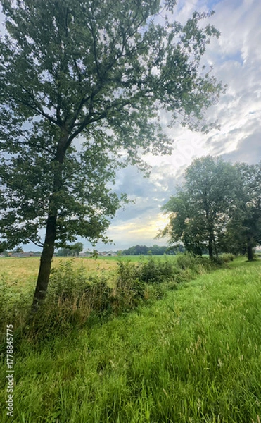 Fototapeta A tranquil scene featuring vibrant green grass, trees, and a cloudy sky, perfect for nature enthusiasts.