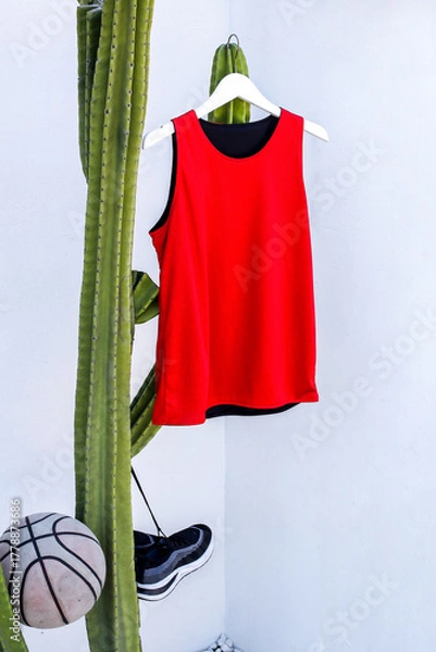 Fototapeta Vibrant Red Basketball Jersey Hanging Near Cactus