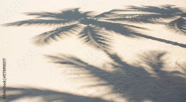Fototapeta Soft focus palm tree shadows cast across a warm hazy tropical sky at sunset