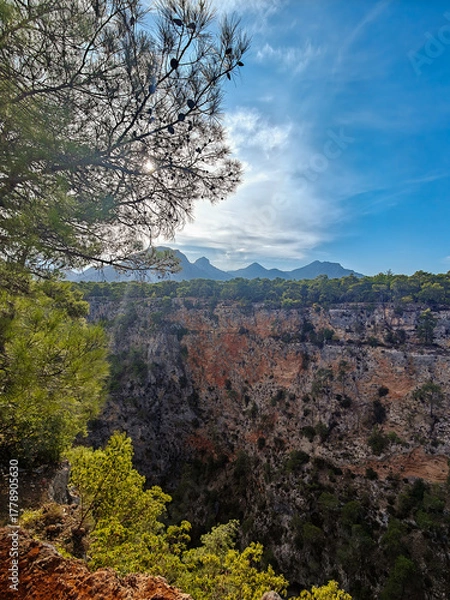 Obraz Sunset through the trees, Guver Canyon, Antalya.