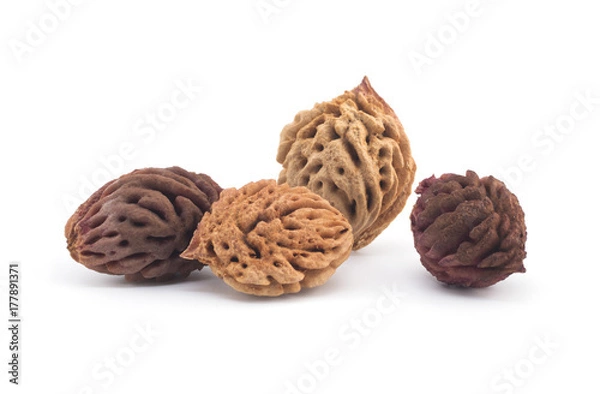 Obraz Bones of peaches on a white background