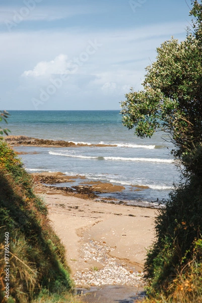 Obraz Entrée d'une petite plage